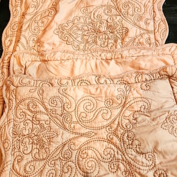 Gold/tan Colored Embroidered Pillow Shams - Picture 2 of 7
